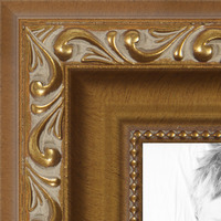 CustomPictureFrames.com 44x24 Frame Gold Real Wood Picture Frame Width 1.25 Inches | Interior Frame Depth 0.5 Inches | Garrin Gold Traditional Photo